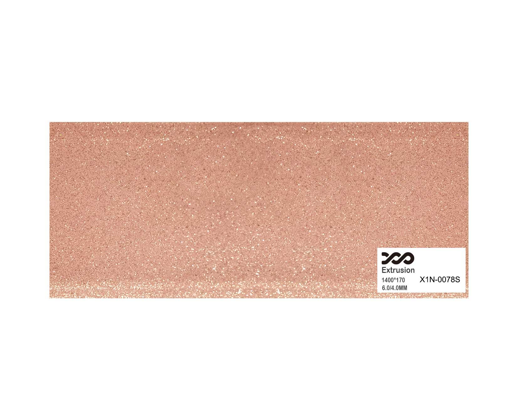 X1N-0078S